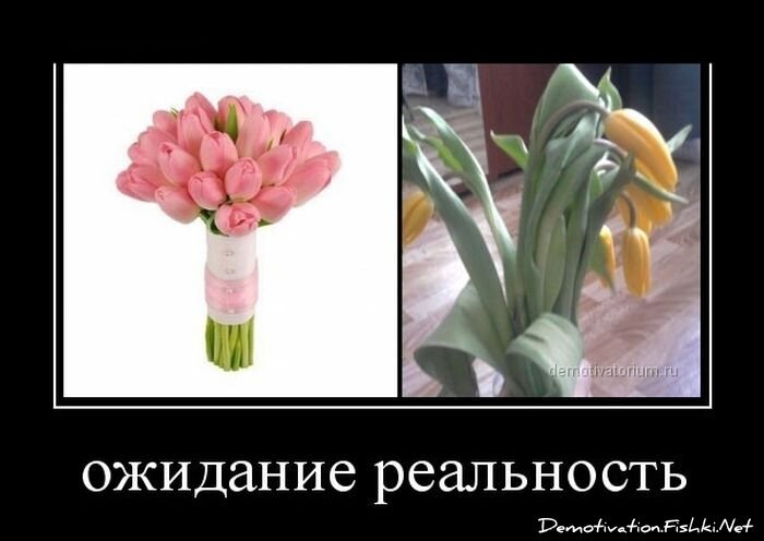 Смешной демотиватор от zubrilov за 13.03.2013 №149464