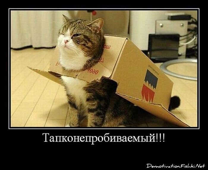Смешной демотиватор от zubrilov за 13.03.2013 №149467