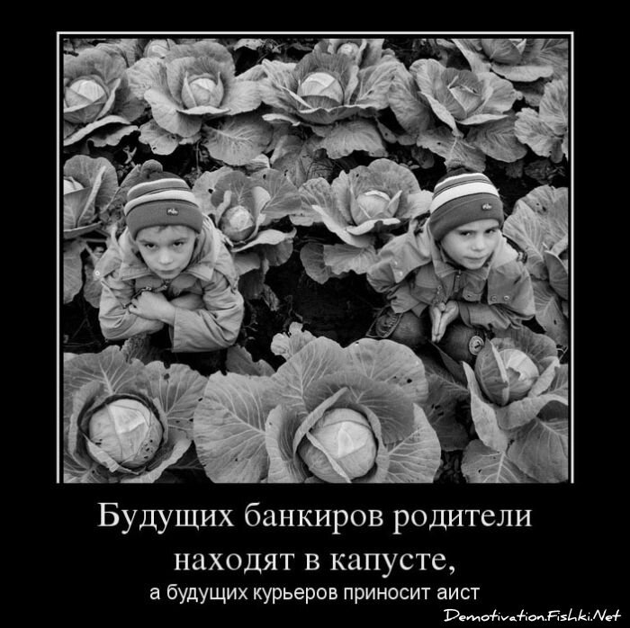 Смешной демотиватор от zubrilov за 13.03.2013 №149499