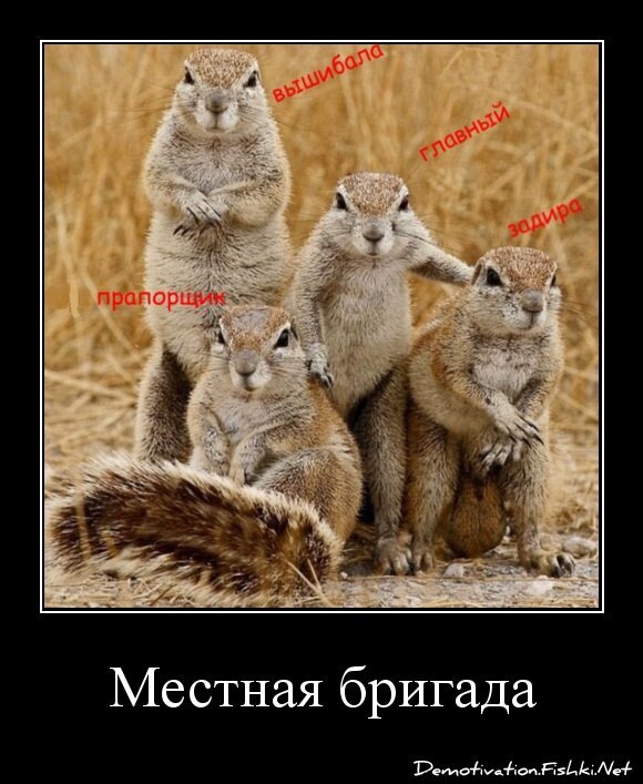 Местная бригада