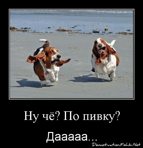 Ну чё? По пивку?