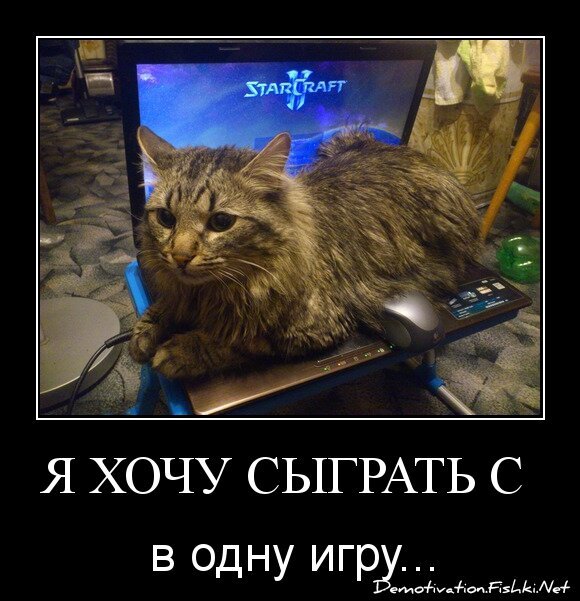 Я хочу сыграть с тобой