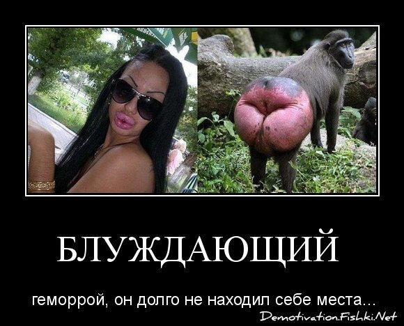 БЛУЖДАЮЩИЙ 