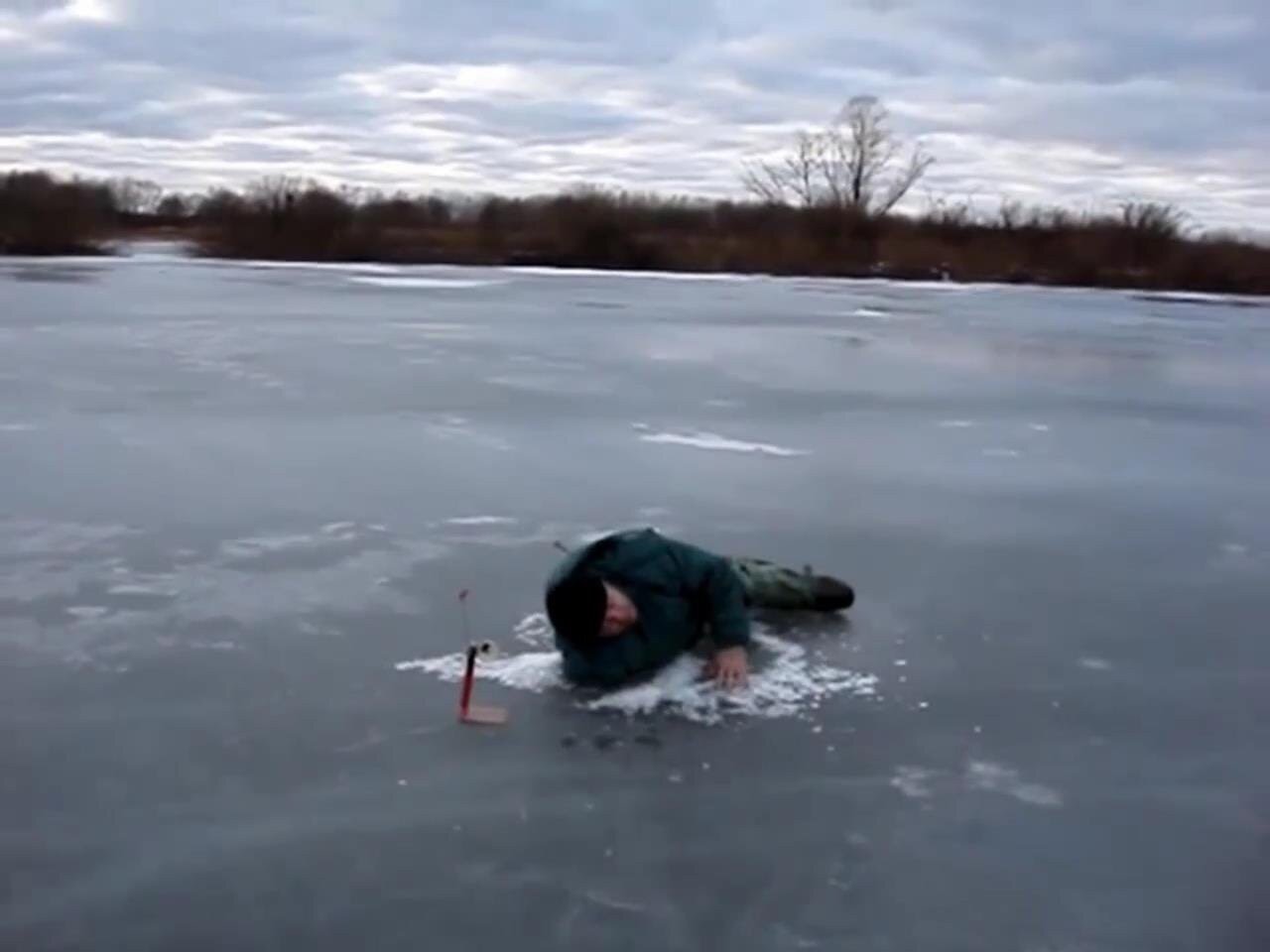 Видео приколы лови