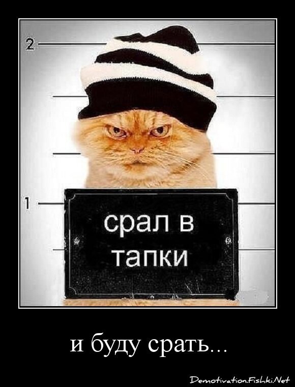 и буду срать...