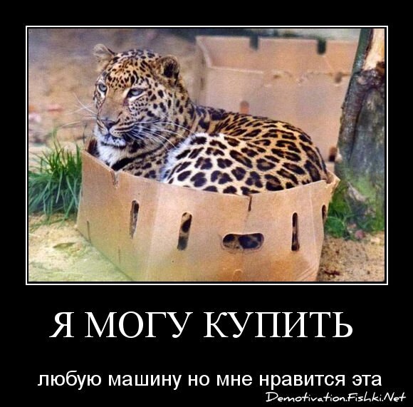 Я могу купить 