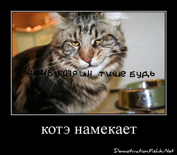 котэ намекает