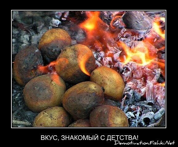 Смешной демотиватор от zubrilov за 15.03.2013 №149867