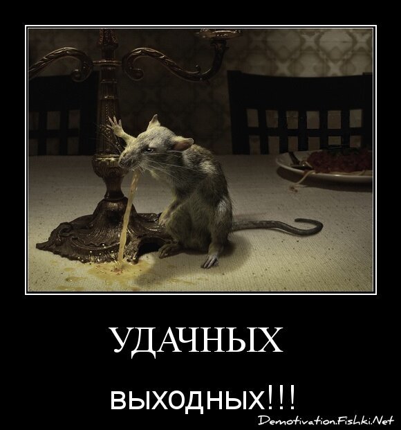 удачных 