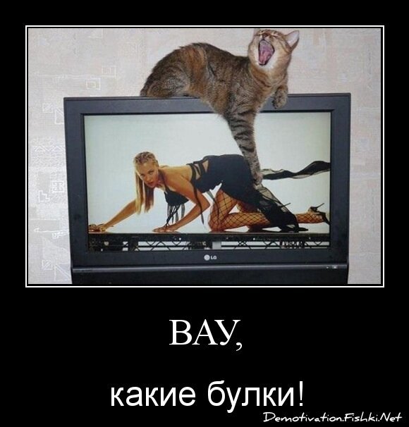 Вау,