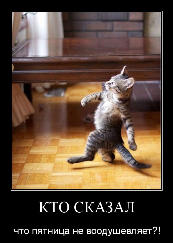 Кто сказал