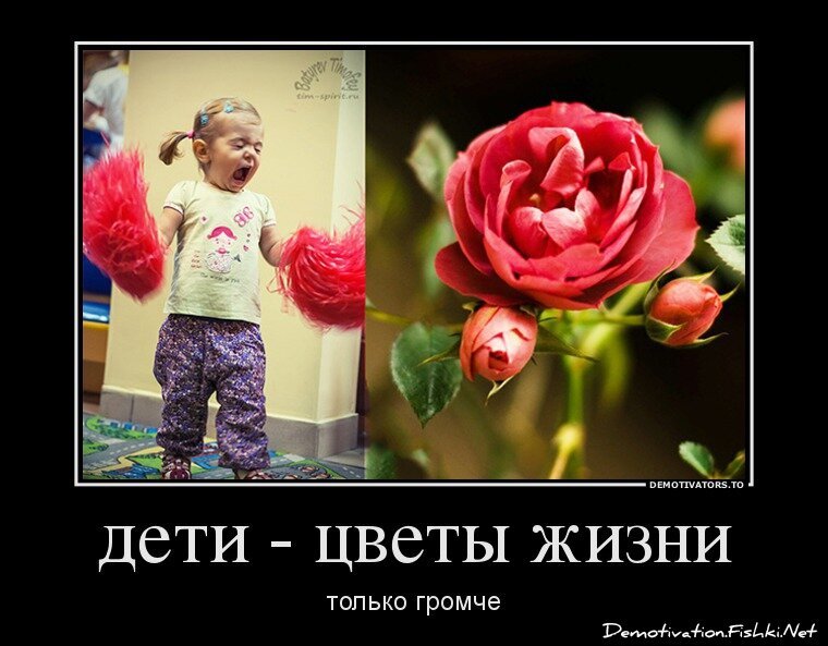 Смешной демотиватор от zubrilov за 20.03.2013 №150170
