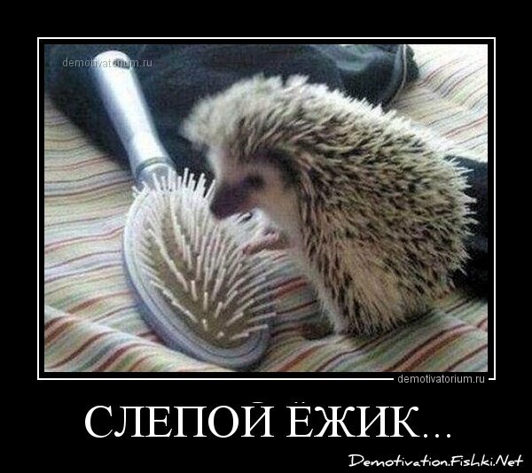 Демотиваторы, часть 356.