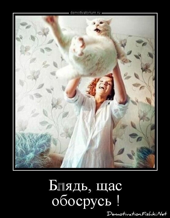 Демотиваторы, часть 356.