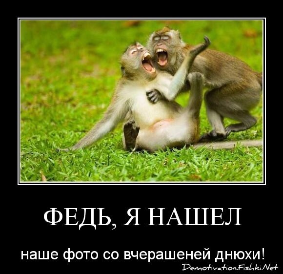 Демотиваторы, часть 356.