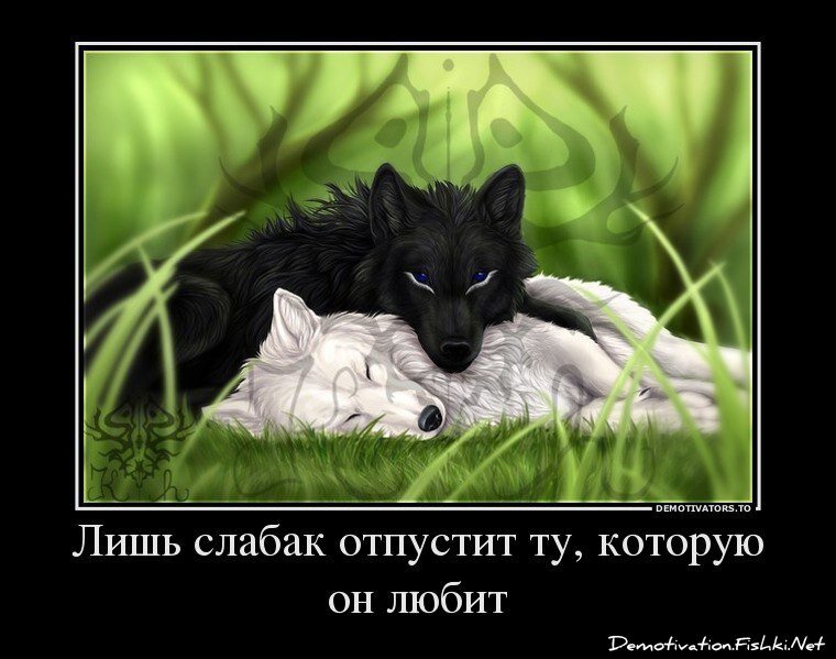 Смешной демотиватор от zubrilov за 22.03.2013 №150668