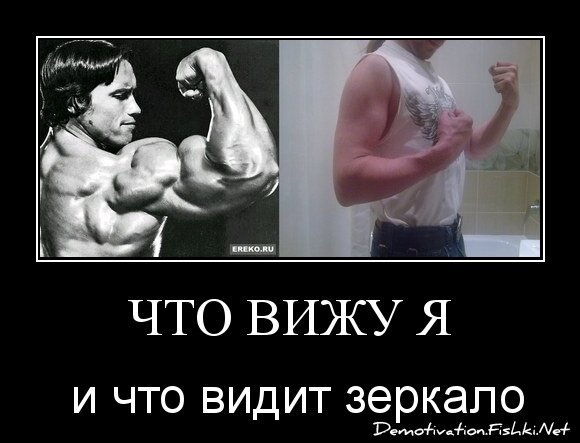 Что вижу я