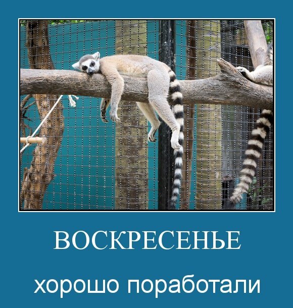 Воскресенье