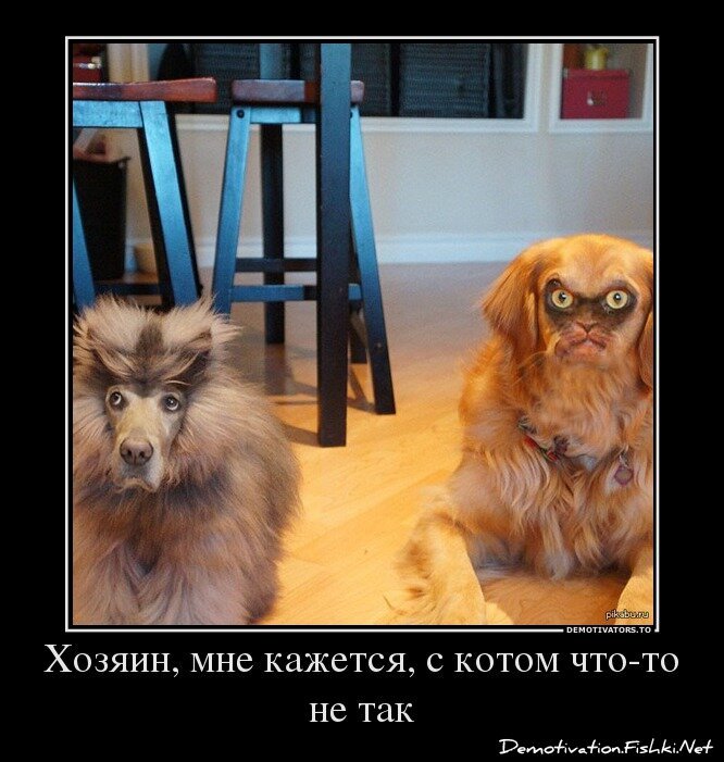 Смешной демотиватор от zubrilov за 25.03.2013 №150866