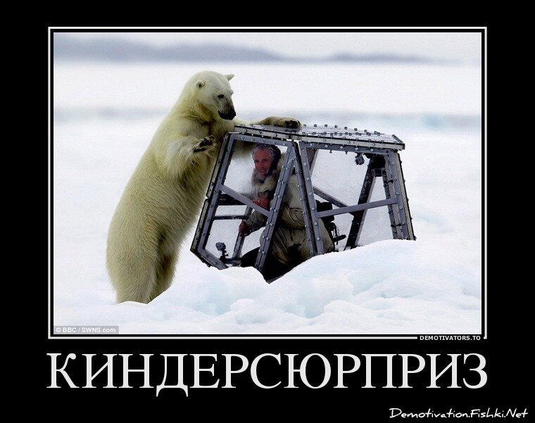 Смешной демотиватор от zubrilov за 25.03.2013 №150868