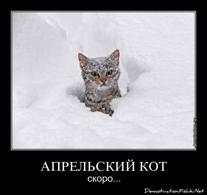 Смешной демотиватор от zubrilov за 25.03.2013 №150878