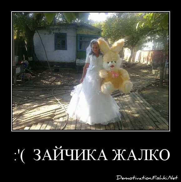 :'(  зайчика жалко !!!