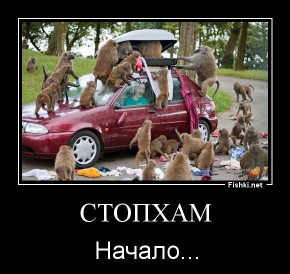СтопХам