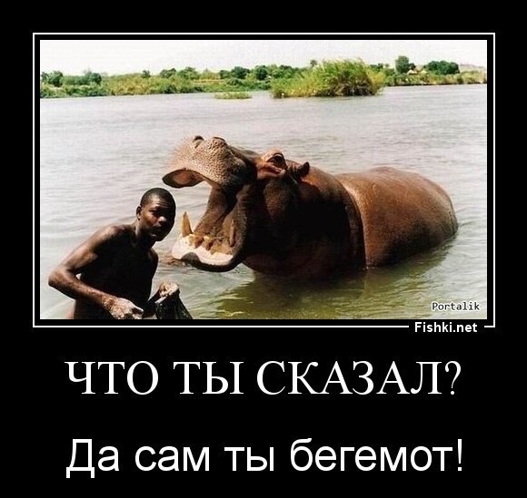 Что ты сказал?