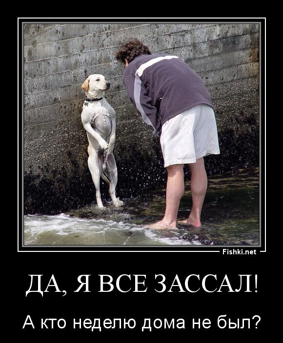 Да, я все зассал!
