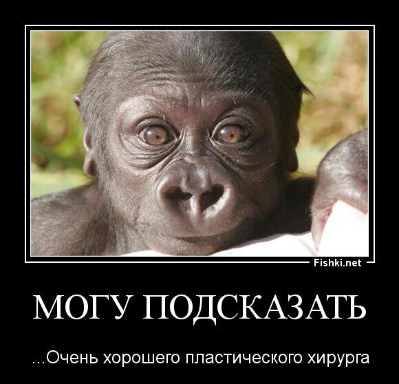 Могу подсказать