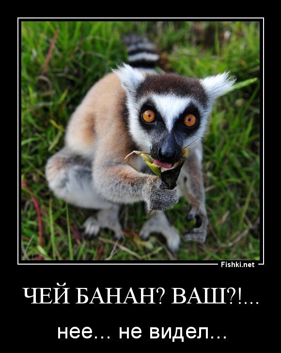 Чей банан? Ваш?!...