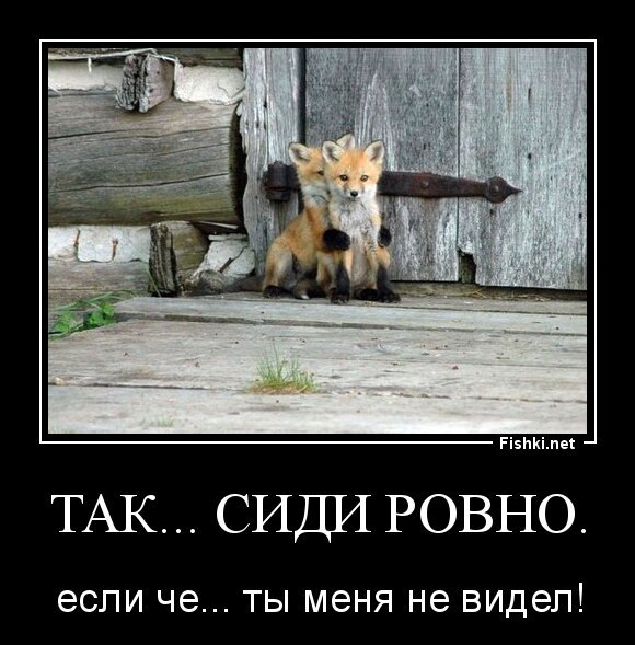 Так... Сиди ровно...