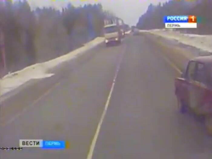 Видео дня