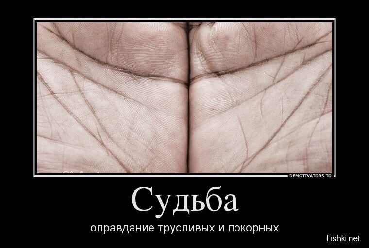 Смешной демотиватор от zubrilov за 27.03.2013 №151168