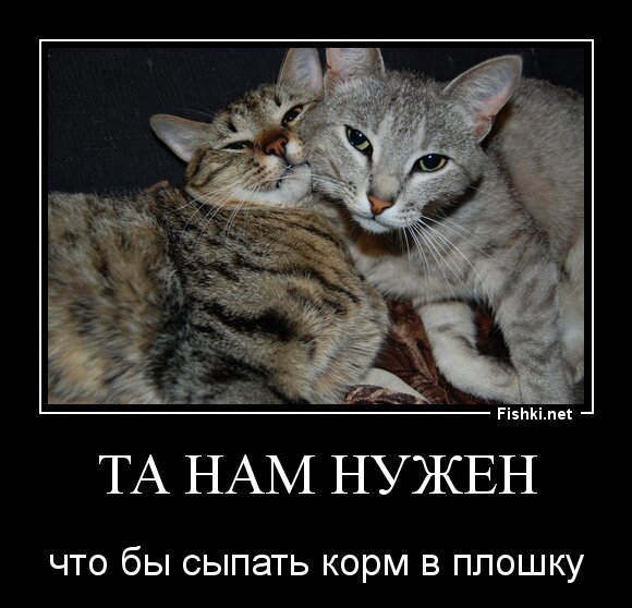 Та нам нужен