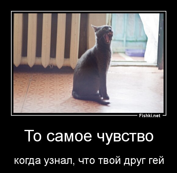 То самое чувство