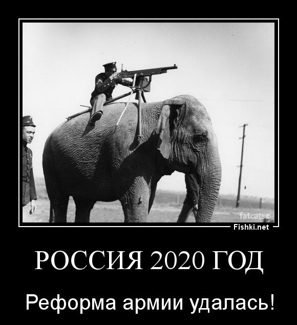 Россия 2020 год