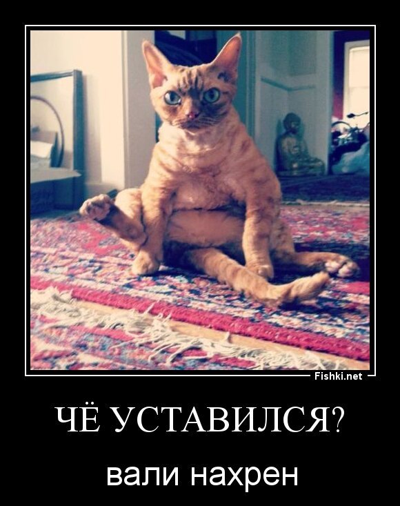 Чё уставился?