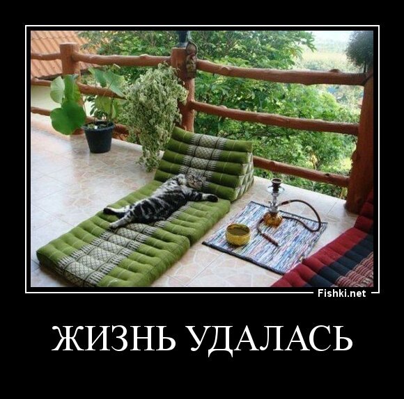 Жизнь удалась
