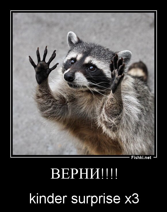 ВЕРНИ!!!!