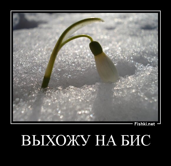 выхожу на БИС