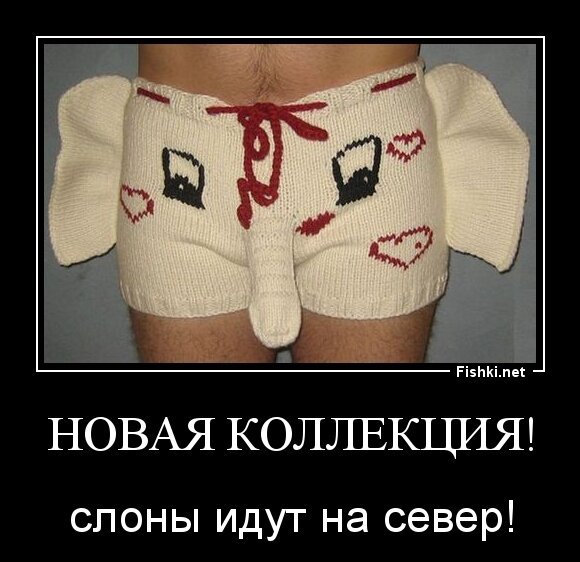 Новая коллекция!