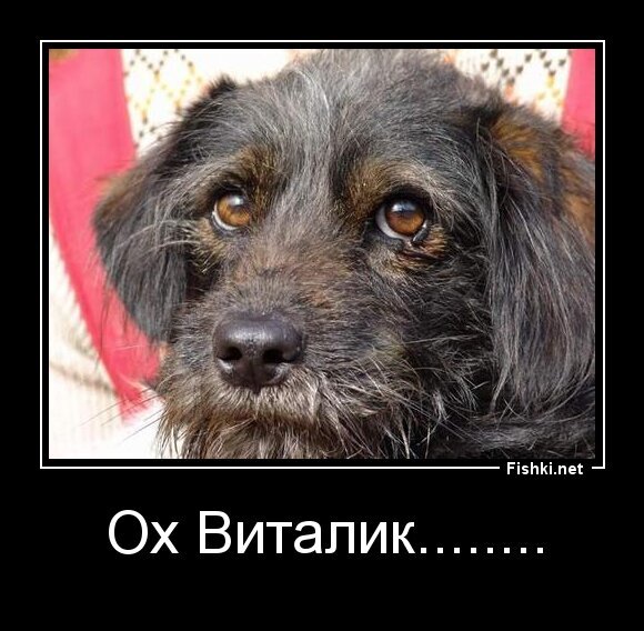 Ох Виталик........