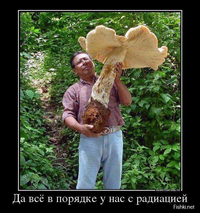 Демотиваторы, часть 361.