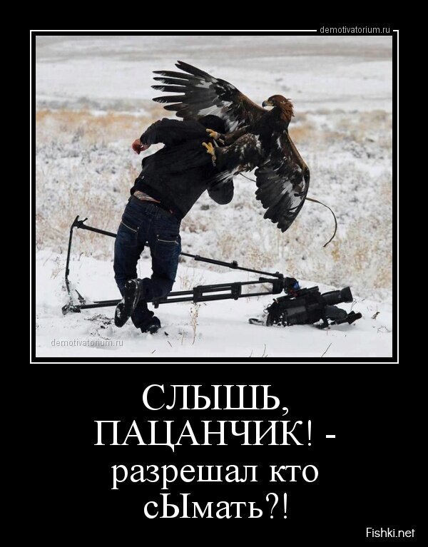Смешной демотиватор от zubrilov за 01.04.2013 №151795