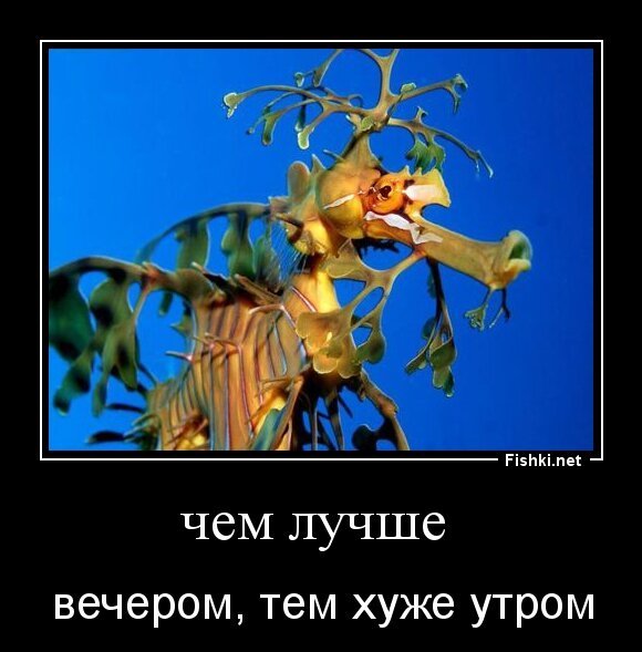чем лучше 
