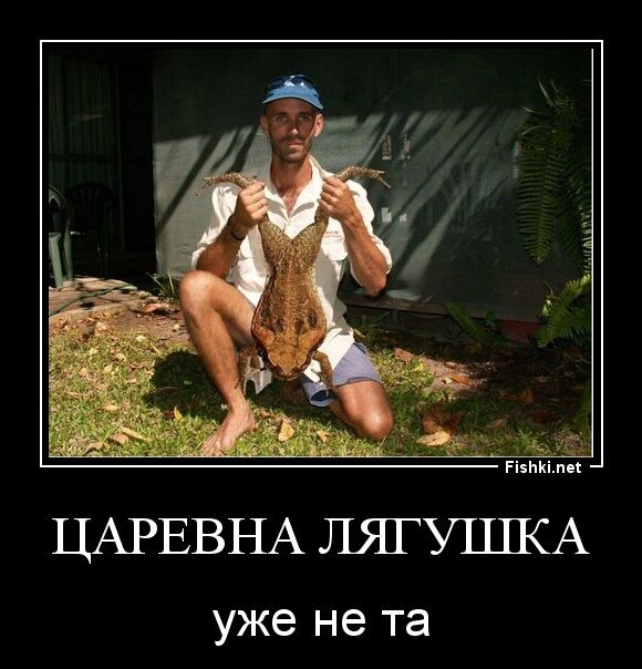 царевна лягушка