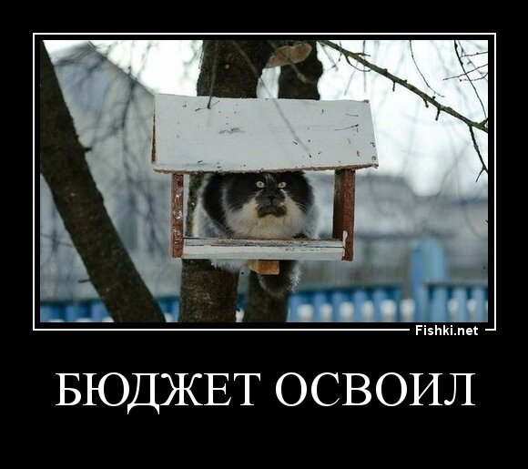 Бюджет освоил