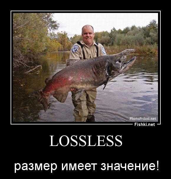 lossless