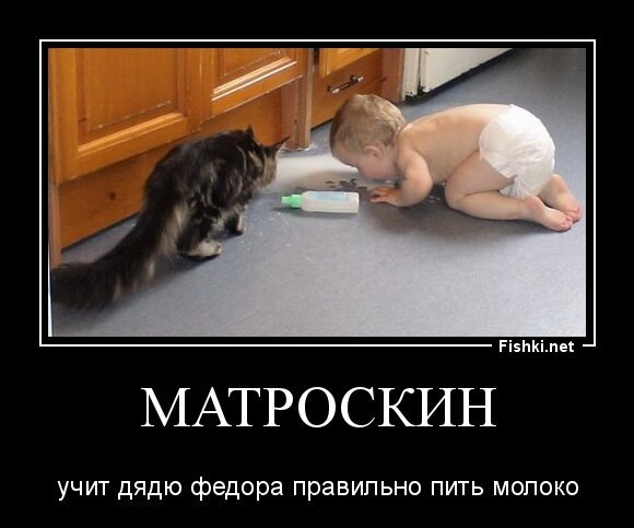 МАТРОСКИН